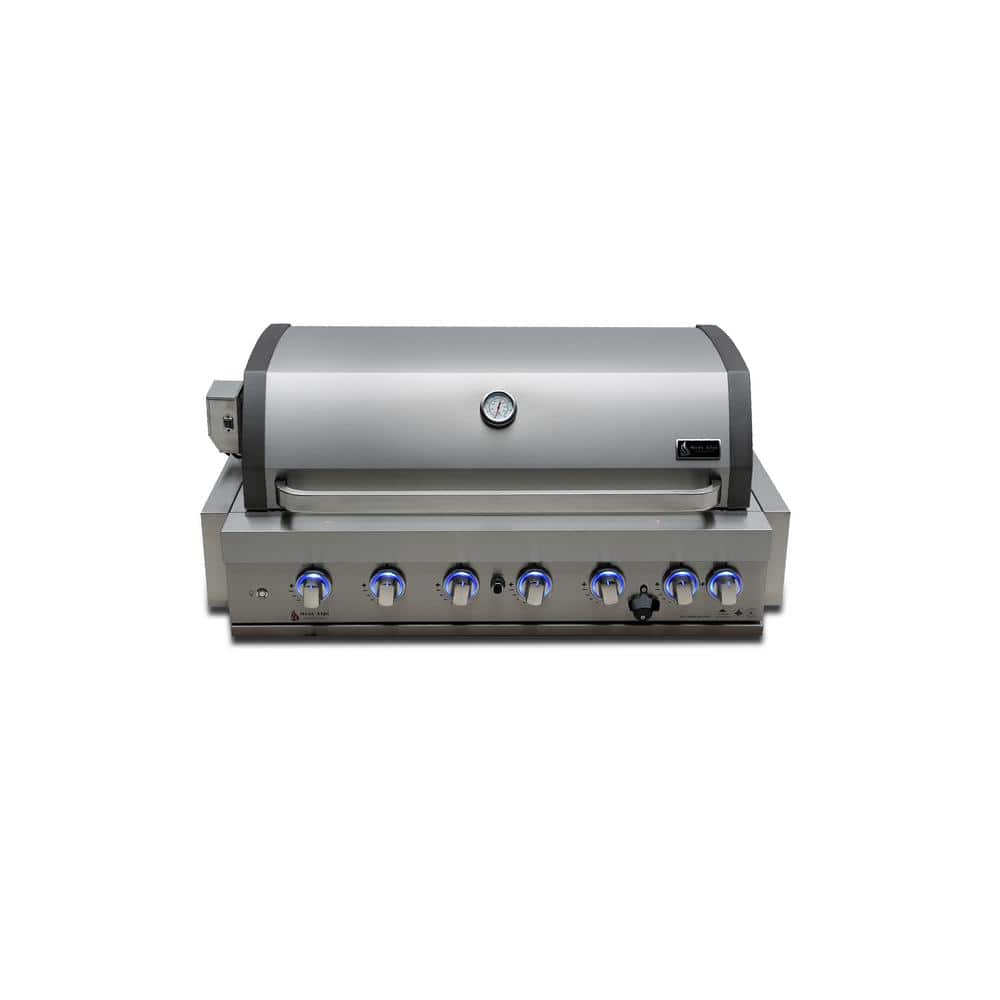 Built-in Series 6-Burner Propane Natural Gas Grill Island in Stainless Steel price history on PriceWatchPro