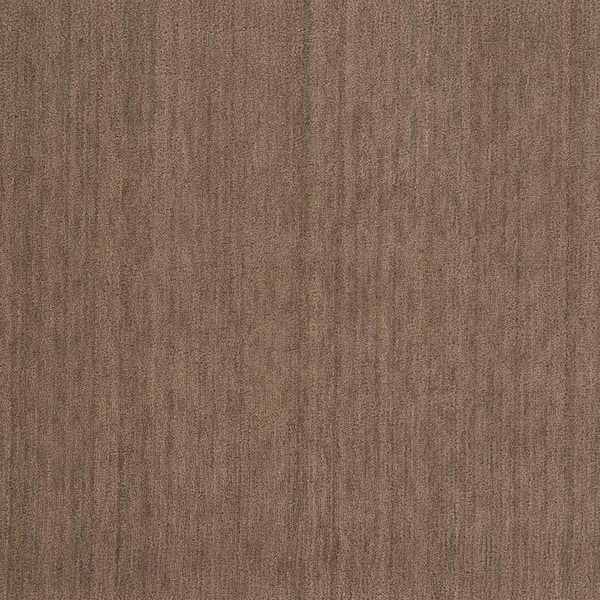 Natural Harmony 6 in. x 6 in. Texture Carpet Sample - Supreme - Color - Bark
