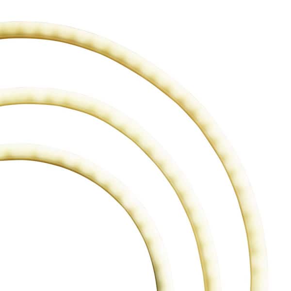 32.8 ft. Plug-In Bright White LED 360° Outdoor Dimmable Linkable Rope Light with Remote Control