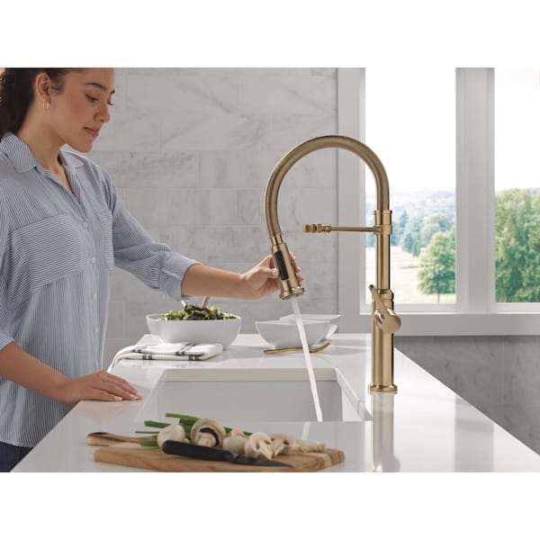 Rhett Pro Gold Single Handle Pull Down Sprayer Kitchen Faucet with Spring Spout in Champagne Bronze