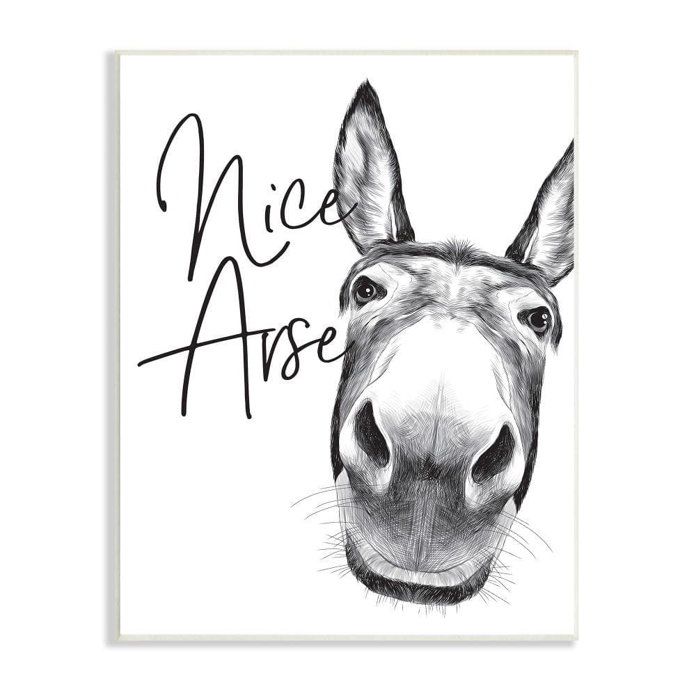 Animal Humor Nice Arse Donkey Bathroom Phrase by Lettered and Lined Unframed Animal Wood Wall Art Print 10 in x 15 in price history on PriceWatchPro