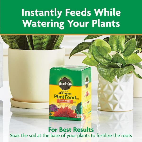 Miracle Gro All Purpose Plant Food - 1.5 lbs.