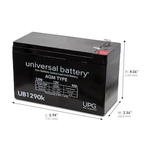 12-Volt 100 Ah Z1 Terminal Sealed Lead Acid (SLA) AGM Rechargeable Battery