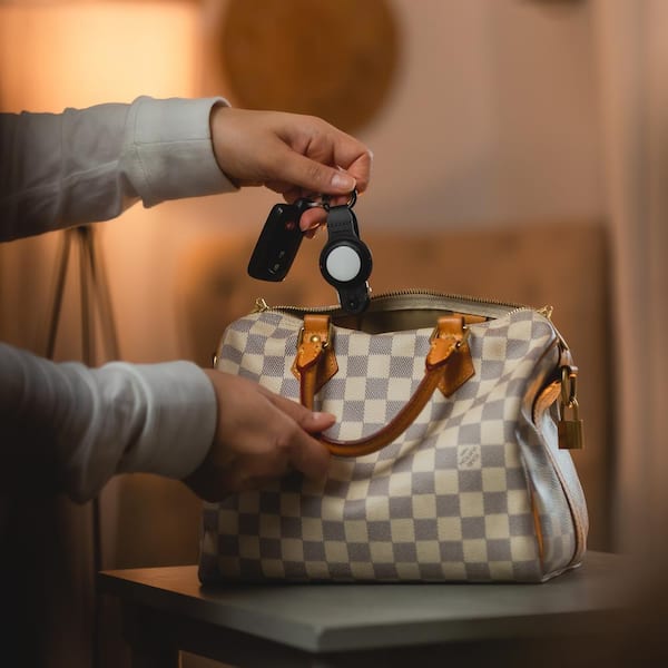 Hey Alexa, Find Me a Fake Louis Vuitton Bag on