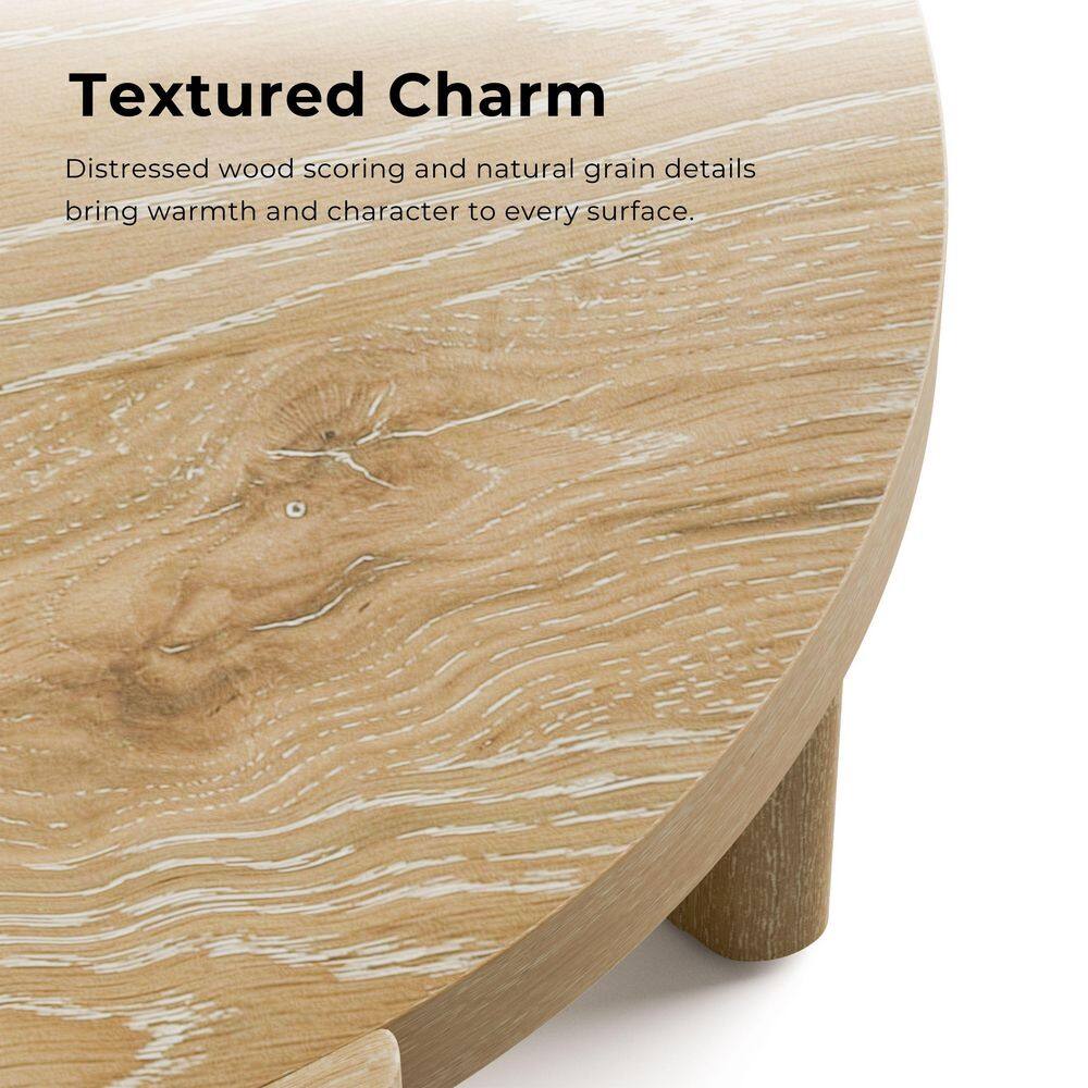 Ashford 20 in. Oak Round Wood End Table with Plinth Base - thumbnail 4