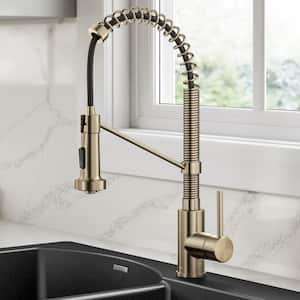 Bolden Single-Handle Pull-Down Sprayer Kitchen Faucet with Dual Function Sprayhead in Spot Free Antique Champagne Bronze