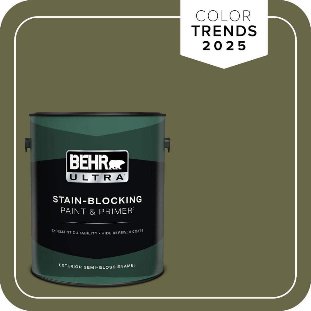 1 gal. #PPU9-24 Amazon Jungle Semi-Gloss Enamel Exterior Paint & Primer price history on PriceWatchPro