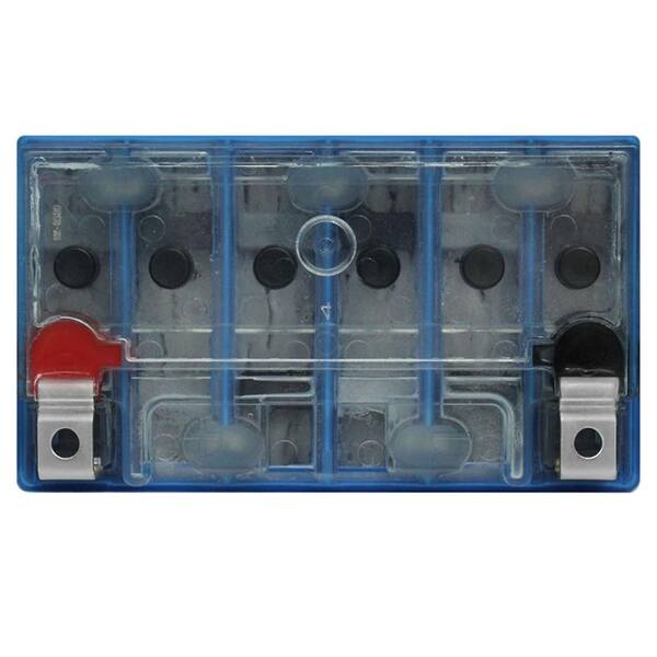 MIGHTY MAX BATTERY YTX16-BS GEL Battery Replacement for FTH16-BS-1