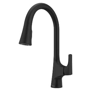 Norden Single-Handle Pull-Down Sprayer Kitchen Faucet in Matte Black