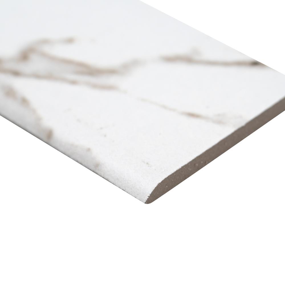 Majestic Nugget Bullnose 3 in. x 24 in. Matte Porcelain Wall Tile (20 sq. ft./Case) price history on PriceWatchPro