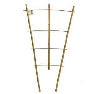18 in. H Bamboo Ladder Trellis (Set of 3)