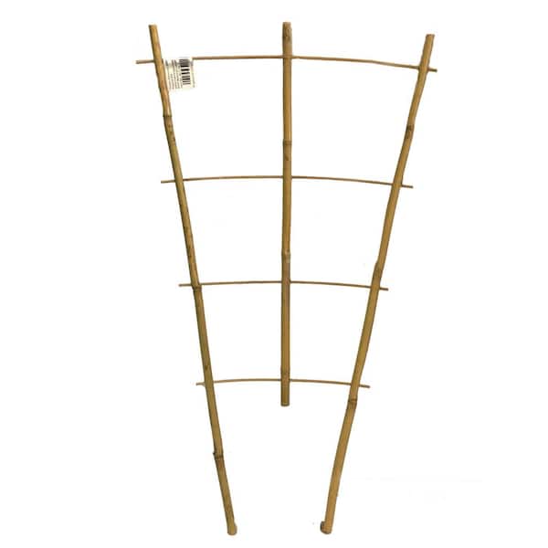 MGP 18 in. H Bamboo Ladder Trellis (Set of 3) BLT-18-3 - The Home Depot