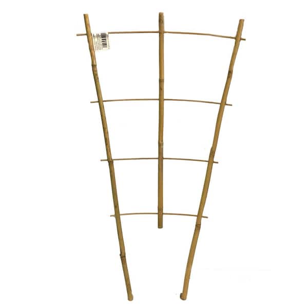 MGP 24 in. H Bamboo ladder Trellis, Set of 3