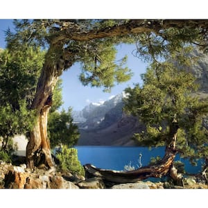 Mountain River Old Gnarled Tree Non-Woven Wall Mural