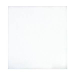 32 sq. ft. 96 in. x 48 in. Hardboard Thrifty White Tile Board