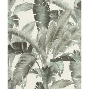 Orissa Sage Palm Frond Wallpaper