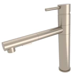Single-Handle Pull Out Sprayer Kitchen Faucet Deckplate Included in Brushed Nickel