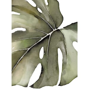 Safari Green Watercolor Monstera Tropical Jungle Leaves Vinyl Wall Stickers