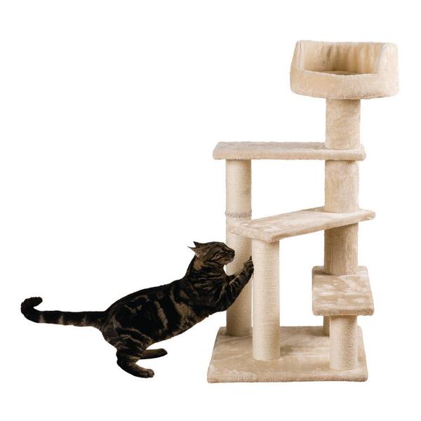 senior cat scratching post