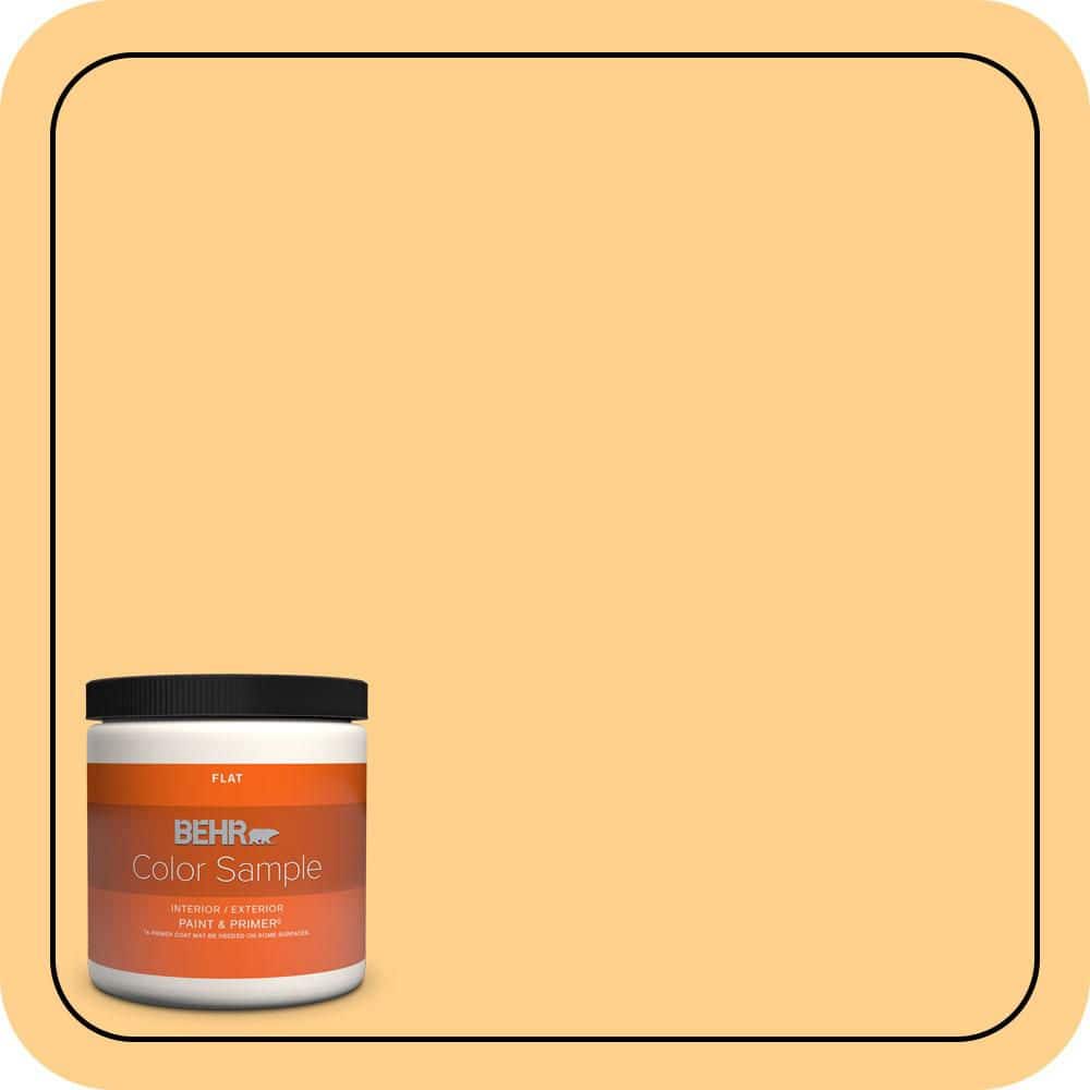 8 oz. #300B-4 Sunporch Flat Interior/Exterior Paint & Primer Color Sample price history on PriceWatchPro