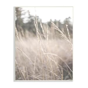 Warm Rural Field Tall Grass Countryside Scenery by Donnie Quillen Unframed Nature Art Print 15 in. x 10 in.