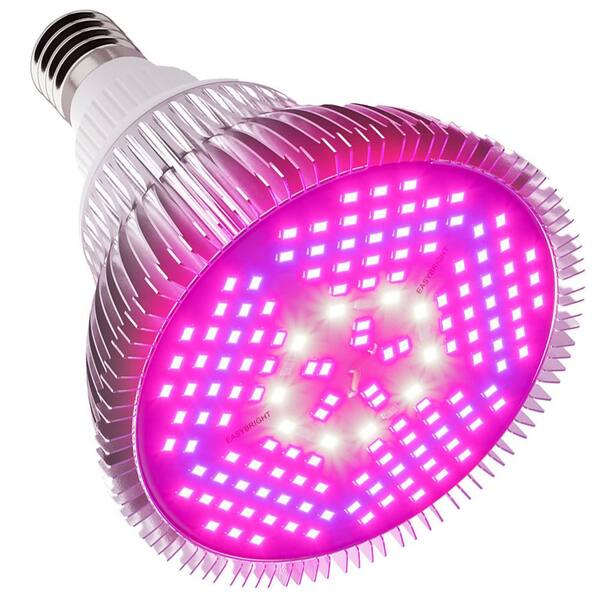 purple grow light bulb