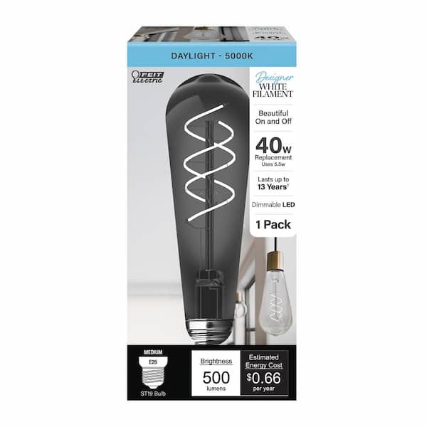 Feit Electric 40-Watt Equivalent ST19 Dimmable LED Smoke Glass Vintage Edison Light Bulb With Spiral Filament Daylight (4-Pack) Feit Electric 40-Watt Equivalent ST19 Dimmable LED Smoke Glass Vintage Edison Light Bulb With Spiral Filament Daylight (4-Pack)