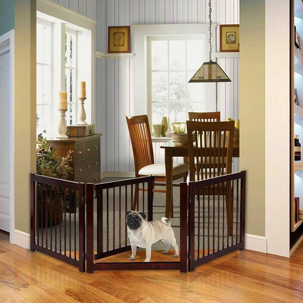 Dog best sale gate designs