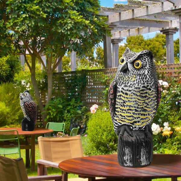 Realistic Bird Scarer Rotating Head Sound Owl Prowler Decoy Protection Repellent