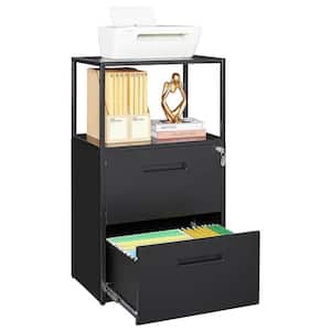 41.3 in. H x 23.6 in. W x 15.7 in. D Garage Cabinet, 2 Tier Metal File Cabinet with Shelves, 2 Lockable Drawers in Black