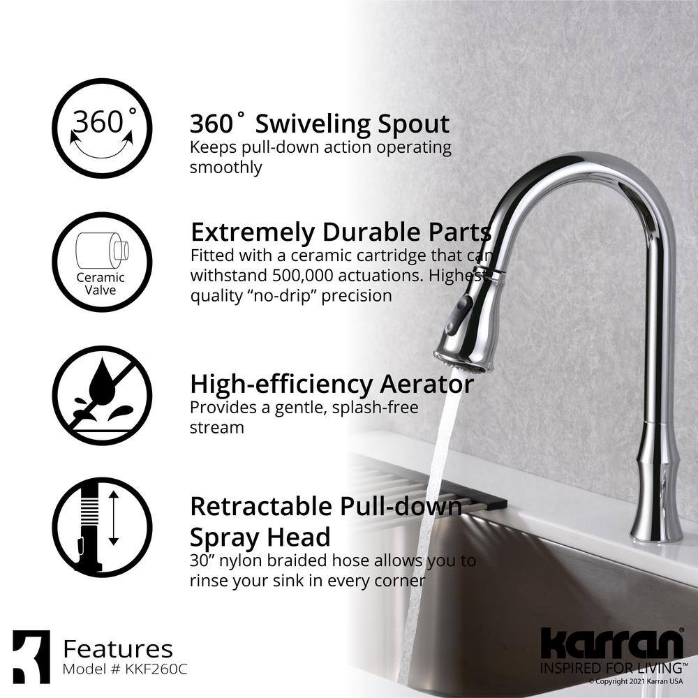 Chrome Single-Handle Kitchen Faucet with Pull-Out Spray