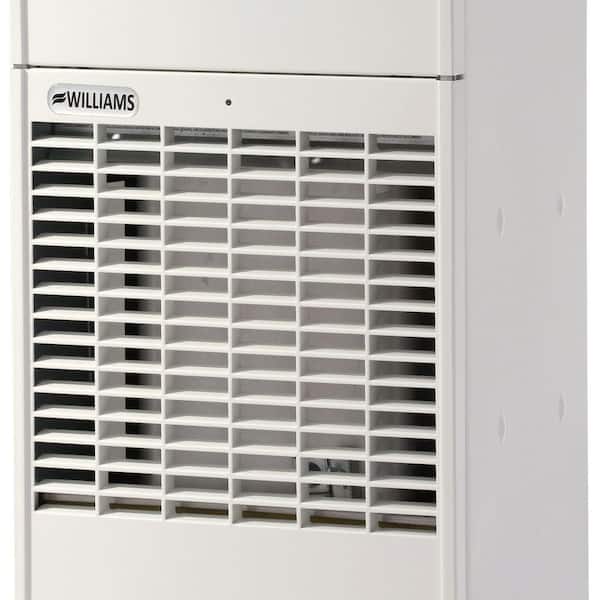 Williams Forsaire 40,000 BTU Counterflow Direct-Vent Liquid Propane Gas  Wall Heater 4007731 - The Home Depot