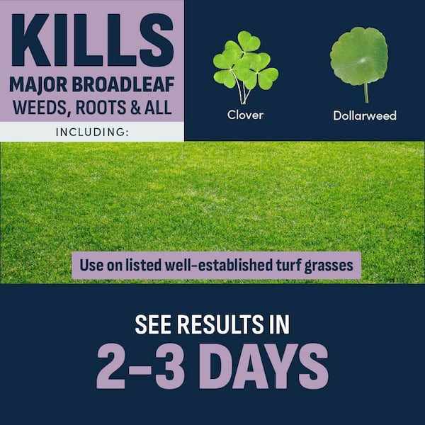 32 oz. Southern Lawn Weed Killer Concentrate for St. Augustinegrass and Centipedegrass (2-Pack)