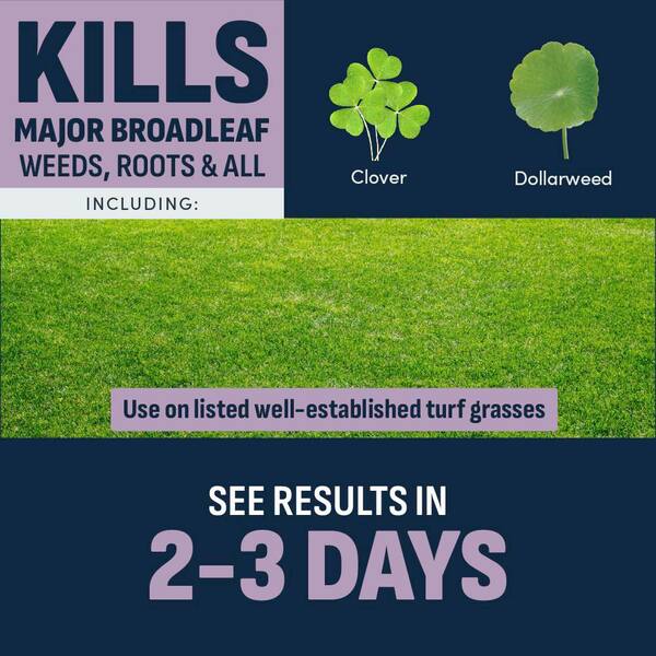 32 oz. Southern Lawn Weed Killer Ready-To-Spray for St. Augustinegrass and Centipedegrass 2 Pack