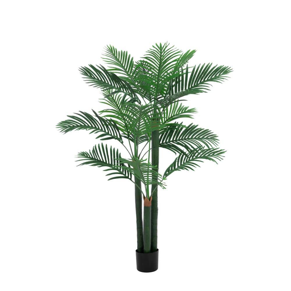 洋書 TROPICA: Exotic Plants and Trees TROPICA: Exotic Plants and Trees 洋書