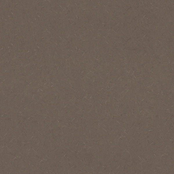 Wilsonart 5 ft. x 10 ft. Laminate Sheet in Evening Tigris with Matte Finish