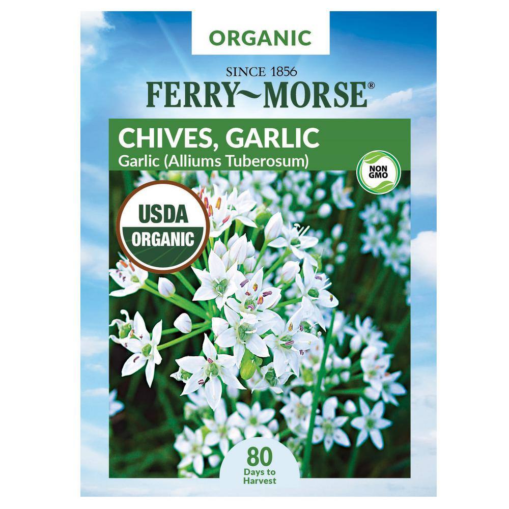 Garlic Seed Ferry Morse Chives 