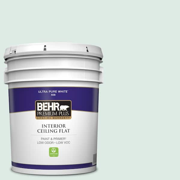 5 gal. #M430-1 Snowbound Ceiling Flat Interior Paint