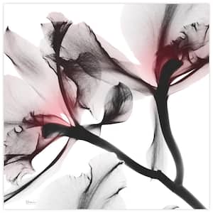 "Coral Luster-2" Unframed Free Floating Tempered Glass Panel Graphic Wall Art Print 24 in. x 24 in.
