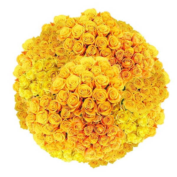 Globalrose 100 Assorted Yellow Roses- Fresh Flower Delivery