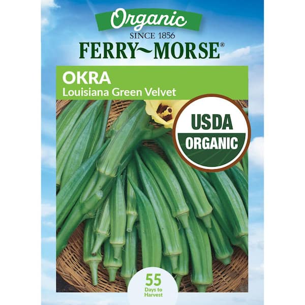 Ferry-Morse Organic Okra Louisiana Green Velvet Fruit Seeds