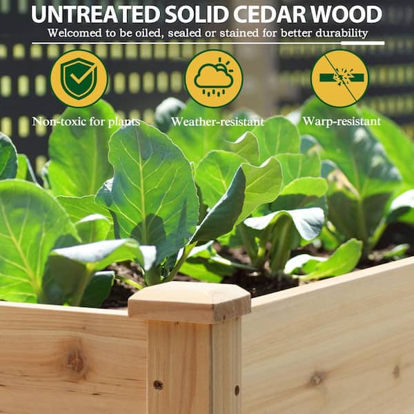 48 in. x 24 in. x 30 in. Wood Raised Garden Bed with Liner
