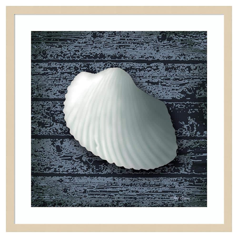 Seashore Shells Navy I Coastal Framed Wall Art Print