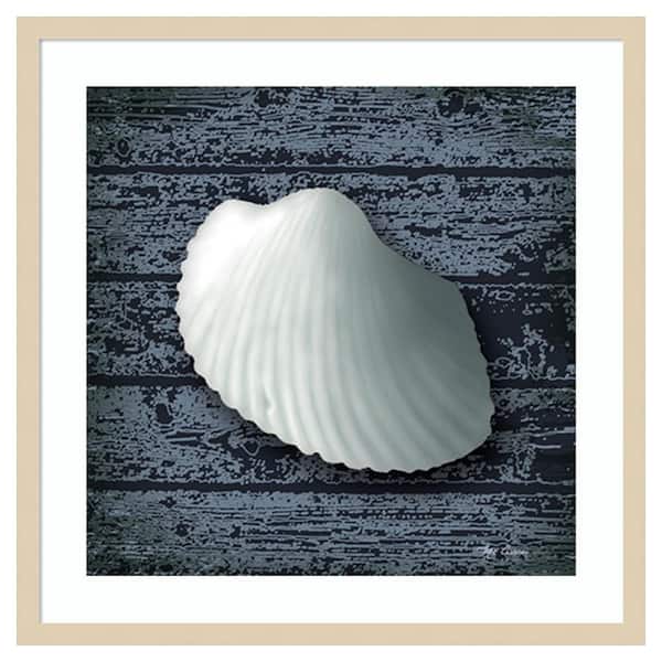 Amanti Art Seashore Shells Navy I by Marie Elaine Cusson 25 in. W x 25 in. H. Wood Framed Wall Art Print Framed in Brown
