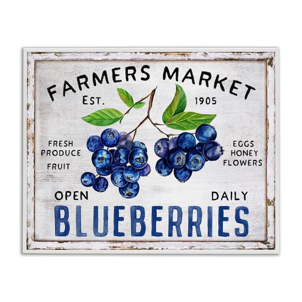 Stupell Industries Farmers Market Blueberries by Creatif Belle White Framed Food Giclee Art Print 24 in. x 30 in.