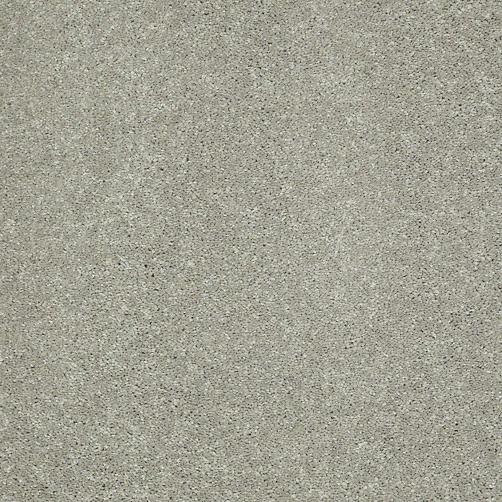 8 in. x 8 in. Texture Carpet Sample - Brave Soul II - Color Sedona Dust price history on PriceWatchPro