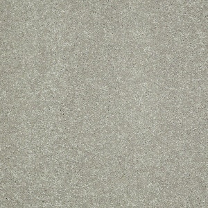Brave Soul I - Sedona Dust - Beige 34.7 oz. Polyester Texture Installed Carpet