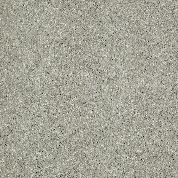 Home Decorators Collection Brave Soul I - Sedona Dust - Beige 34.7 oz. Polyester Texture Installed Carpet