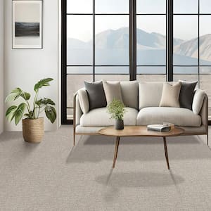 Painted Picture - Moonstone-Gray 12 ft. 45 oz. Triexta PET Pattern Installed Carpet