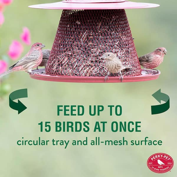 Red Cardinal Hanging Bird Feeder - 2.5 lb. Capacity